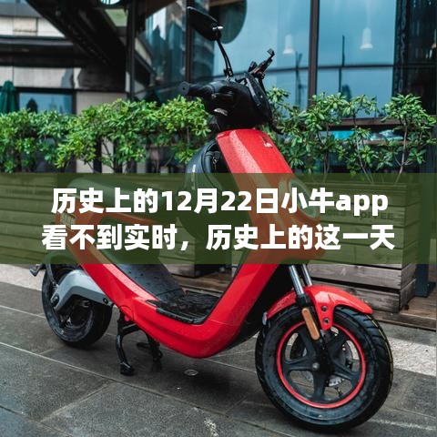 小牛app历史上的数据实时观看故障事件，12月22日遭遇实时数据无法观看问题
