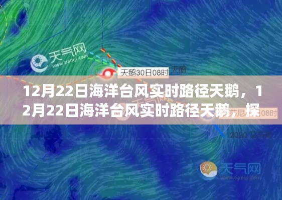 探寻台风天鹅的神秘之旅，最新实时路径追踪报告（12月22日）
