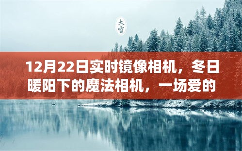 冬日暖阳下的魔法相机，12月22日实时镜像之旅