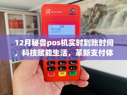 揭秘十二月秘鲁POS机实时到账科技，革新支付体验，启程神奇之旅