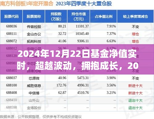 揭秘基金净值背后的故事，超越波动，拥抱成长，探寻2024年12月22日基金净值实时动态