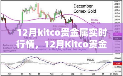 12月Kitco贵金属实时行情深度解析与走势预测