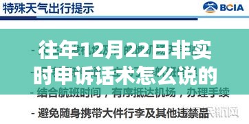 往年12月22日非实时申诉话术解析与观点探讨，申诉技巧与策略分享