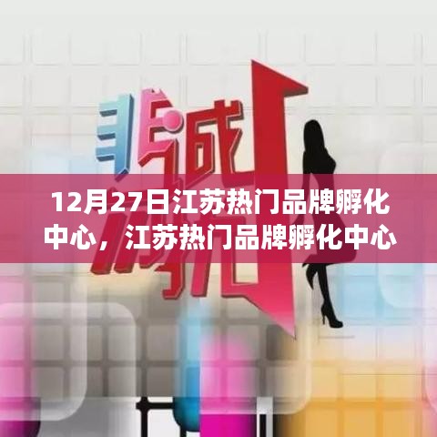 江苏热门品牌孵化中心，双刃剑效应的深度剖析