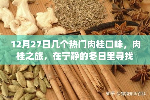 宁静冬日里的肉桂之旅，探索热门口味的心灵香料之旅