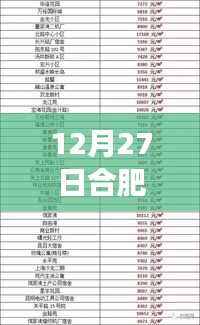 合肥热门音乐报价表背后的自然之旅，寻找心灵的宁静与和谐在12月27日