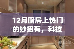 揭秘科技厨房黑科技，革新烹饪体验，成为十二月热门之选