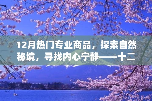 十二月热门专业商品带你探索自然秘境，寻找内心宁静的旅行指南