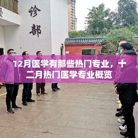 十二月热门医学专业概览，探索医学领域的热门专业方向