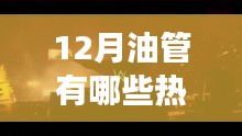 12月油管热门歌曲，心灵之旅探寻自然美景的激情与宁静
