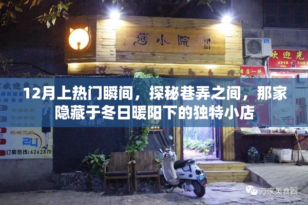 探秘冬日暖阳下的独特小店，巷弄间的热门瞬间