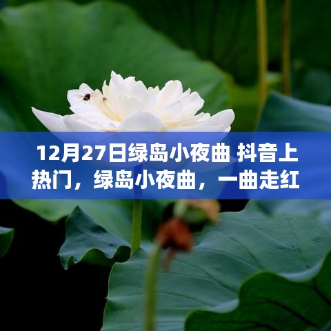 绿岛小夜曲，抖音上的传奇走红故事