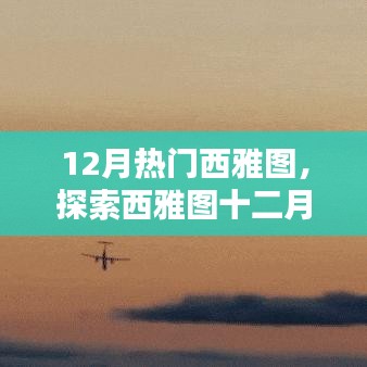 十二月西雅图热门活动探秘，详尽步骤指南