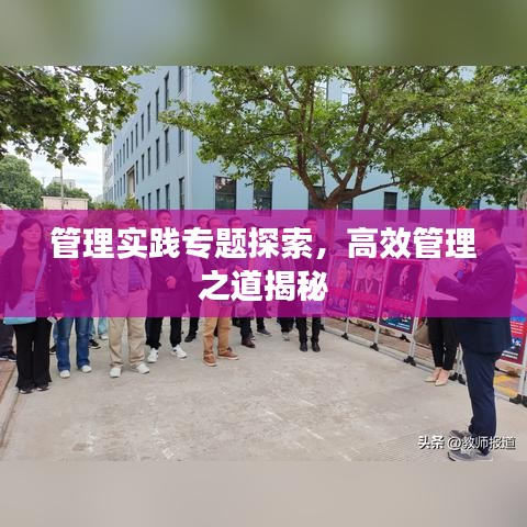 管理实践专题探索，高效管理之道揭秘