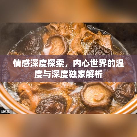 情感深度探索，内心世界的温度与深度独家解析