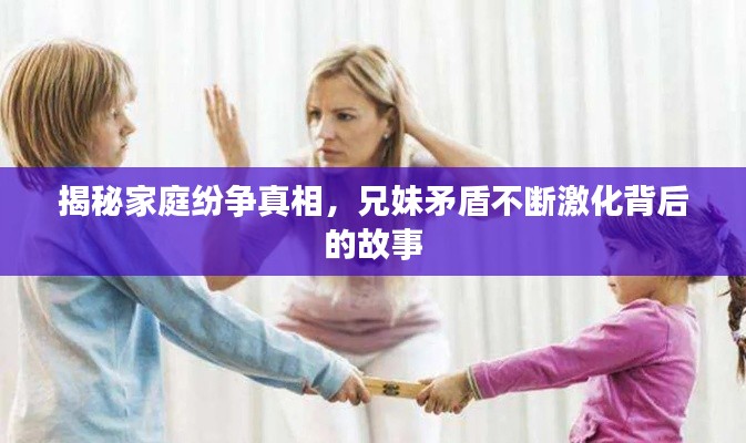 揭秘家庭纷争真相，兄妹矛盾不断激化背后的故事