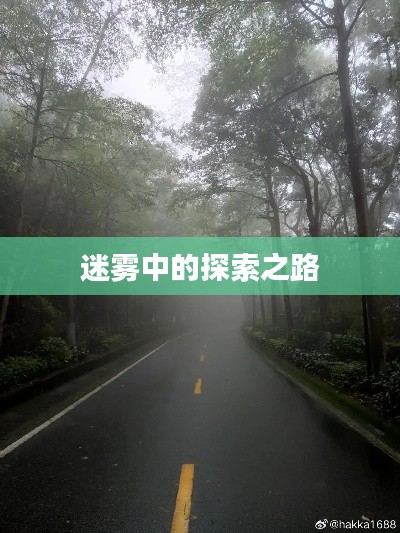 迷雾中的探索之路