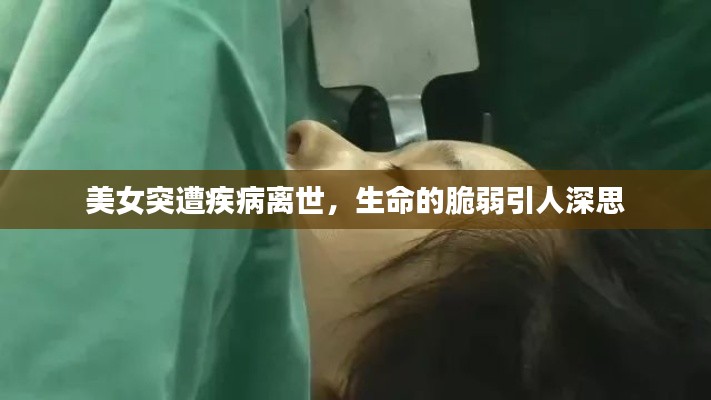 草创未就 第3页