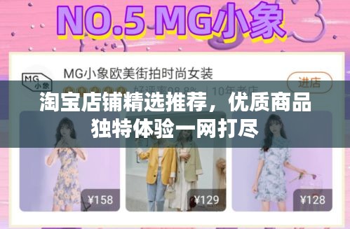 淘宝店铺精选推荐，优质商品独特体验一网打尽