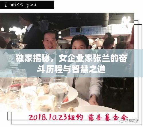 独家揭秘，女企业家张兰的奋斗历程与智慧之道