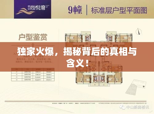 独家火爆，揭秘背后的真相与含义！