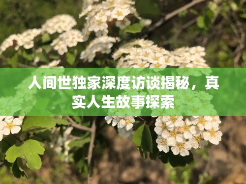 人间世独家深度访谈揭秘，真实人生故事探索