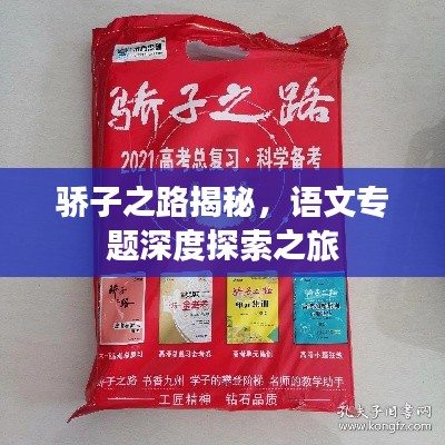 骄子之路揭秘，语文专题深度探索之旅