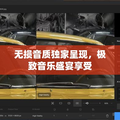 无损音质独家呈现，极致音乐盛宴享受