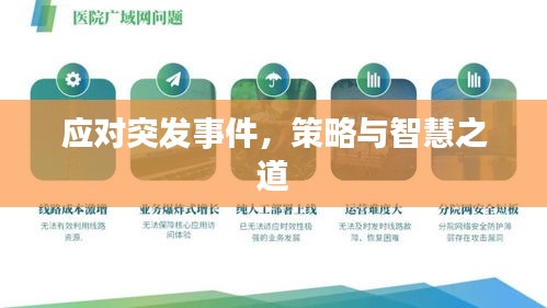 应对突发事件，策略与智慧之道