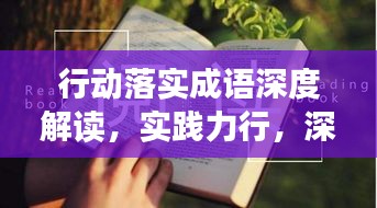 行动落实成语深度解读，实践力行，深化理解与行动的力量