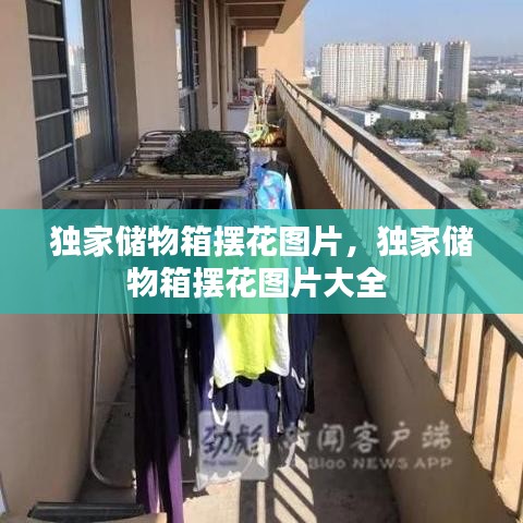 独家储物箱摆花图片，独家储物箱摆花图片大全 