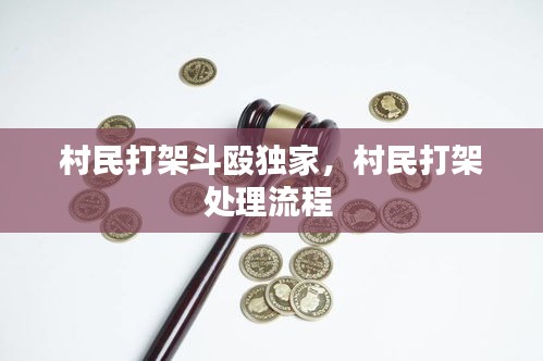 村民打架斗殴独家，村民打架处理流程 