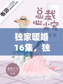 独家暖婚16集，独家暖宠 