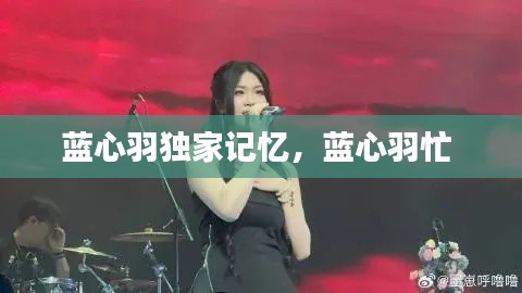 蓝心羽独家记忆，蓝心羽忙 