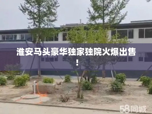 淮安马头豪华独家独院火爆出售！
