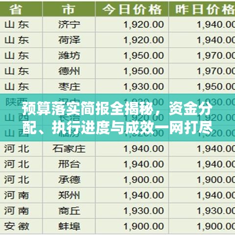预算落实简报全揭秘，资金分配、执行进度与成效一网打尽
