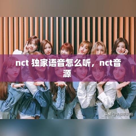 nct 独家语音怎么听，nct音源 