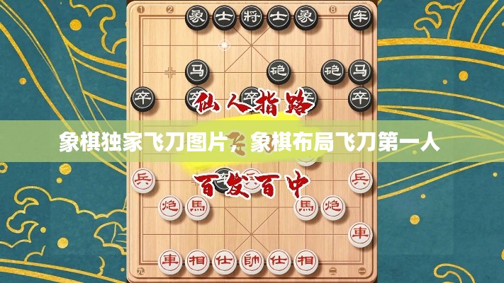 象棋独家飞刀图片，象棋布局飞刀第一人 