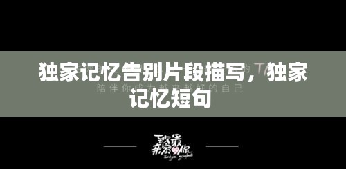 独家记忆告别片段描写，独家记忆短句 