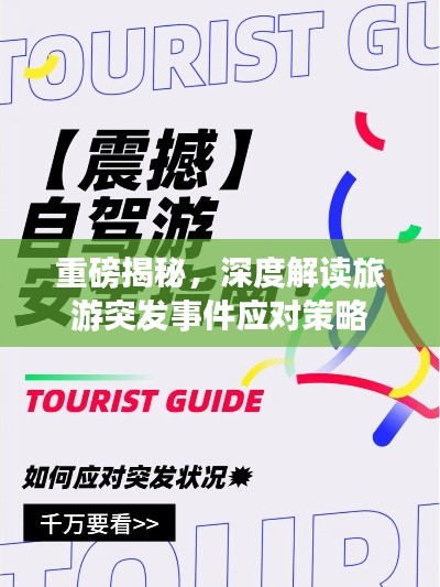 重磅揭秘，深度解读旅游突发事件应对策略
