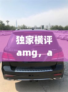 独家横评amg，amg 价位 