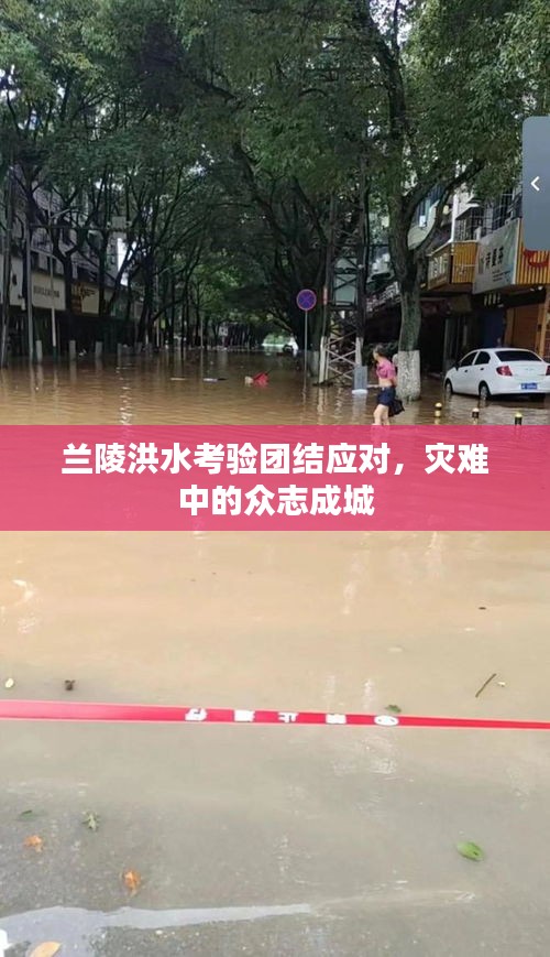 兰陵洪水考验团结应对，灾难中的众志成城