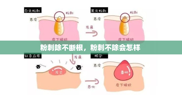 蛾眉曼睩 第2页