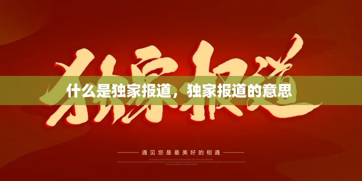 虚张声势 第2页