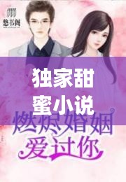 独家甜蜜小说，独家甜婚小说 