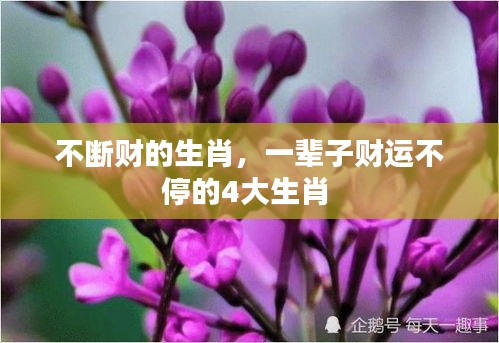 不断财的生肖，一辈子财运不停的4大生肖 