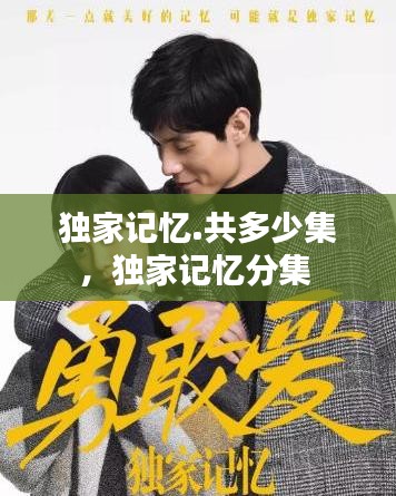 独家记忆.共多少集，独家记忆分集 