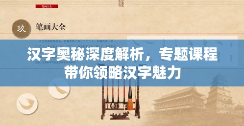 汉字奥秘深度解析，专题课程带你领略汉字魅力