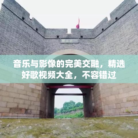音乐与影像的完美交融，精选好歌视频大全，不容错过