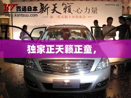独家正天籁正童， 